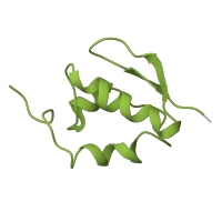 The deposited structure of PDB entry 8i7j contains 1 copy of Pfam domain PF03297 (S25 ribosomal protein) in 40S ribosomal protein S25. Showing 1 copy in chain AA [auth Z].