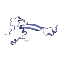 The deposited structure of PDB entry 8i7j contains 1 copy of Pfam domain PF01283 (Ribosomal protein S26e) in 40S ribosomal protein S26. Showing 1 copy in chain BA [auth a].