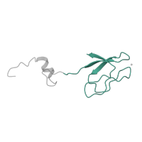 The deposited structure of PDB entry 8i7j contains 1 copy of Pfam domain PF01667 (Ribosomal protein S27) in 40S ribosomal protein S27. Showing 1 copy in chain CA [auth b].