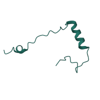 The deposited structure of PDB entry 8i7j contains 1 copy of Pfam domain PF04758 (Ribosomal protein S30) in 40S ribosomal protein S30. Showing 1 copy in chain FA [auth e].