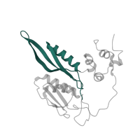 The deposited structure of PDB entry 8i7j contains 1 copy of Pfam domain PF00333 (Ribosomal protein S5, N-terminal domain) in S5 DRBM domain-containing protein. Showing 1 copy in chain D [auth C].