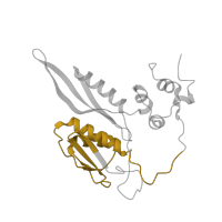 The deposited structure of PDB entry 8i7j contains 1 copy of Pfam domain PF03719 (Ribosomal protein S5, C-terminal domain) in S5 DRBM domain-containing protein. Showing 1 copy in chain D [auth C].