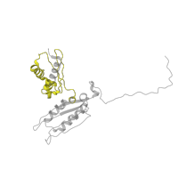 The deposited structure of PDB entry 8i7j contains 1 copy of Pfam domain PF07650 (KH domain) in 40S ribosomal protein S3. Showing 1 copy in chain E [auth D].