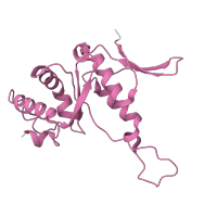 The deposited structure of PDB entry 8i7j contains 1 copy of Pfam domain PF01251 (Ribosomal protein S7e) in 40S ribosomal protein S7. Showing 1 copy in chain I [auth H].