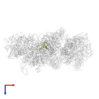 40S ribosomal protein S23 in PDB entry 8i7j, assembly 1, top view.