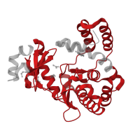 The deposited structure of PDB entry 8i80 contains 2 copies of Pfam domain PF01636 (Phosphotransferase enzyme family) in Aminoglycoside phosphotransferase domain-containing protein. Showing 1 copy in chain A [auth B].