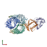 PDB entry 8i8x coloured by chain, front view.