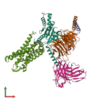 PDB entry 8i95 coloured by chain, front view.