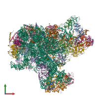 PDB entry 8i9r coloured by chain, front view.