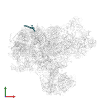 Ribosomal RNA-processing protein 15 in PDB entry 8i9r, assembly 1, front view.