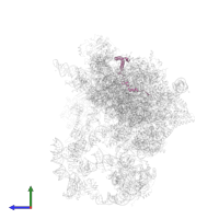 dolichyl-diphosphooligosaccharide--protein glycotransferase in PDB entry 8i9r, assembly 1, side view.