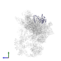 Brix domain-containing protein in PDB entry 8i9r, assembly 1, side view.