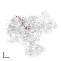 Protein MAK16 in PDB entry 8i9r, assembly 1, front view.