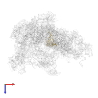 Ribosome production factor 2 homolog in PDB entry 8i9r, assembly 1, top view.