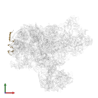 Nucleolar GTP-binding protein 1 in PDB entry 8i9r, assembly 1, front view.