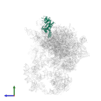 Pescadillo homolog in PDB entry 8i9r, assembly 1, side view.