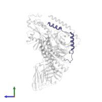 Guanine nucleotide-binding protein G(I)/G(S)/G(O) subunit gamma-2 in PDB entry 8ia7, assembly 1, side view.