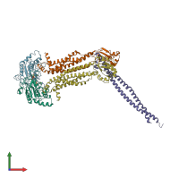 PDB entry 8idd coloured by chain, front view.