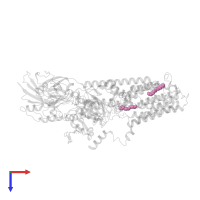 SPERMINE in PDB entry 8ien, assembly 1, top view.