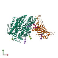 Convergent evolution of SARS-CoV-2 Omicron subvariants leading to the  emergence of BQ.1.1 variant