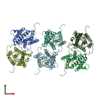 PDB entry 8ijq coloured by chain, front view.