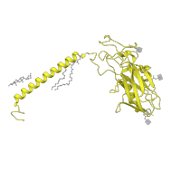 The deposited structure of PDB entry 8ijx contains 1 copy of Pfam domain PF00287 (Sodium / potassium ATPase beta chain) in Potassium-transporting ATPase subunit beta. Showing 1 copy in chain B.