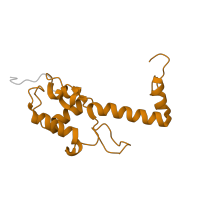 The deposited structure of PDB entry 8ipa contains 1 copy of Pfam domain PF00416 (Ribosomal protein S13/S18) in Putative ribosomal protein S18. Showing 1 copy in chain M [auth oa].