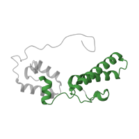 The deposited structure of PDB entry 8ipa contains 1 copy of Pfam domain PF00312 (Ribosomal protein S15) in Small ribosomal subunit protein uS15 N-terminal domain-containing protein. Showing 1 copy in chain N [auth pa].