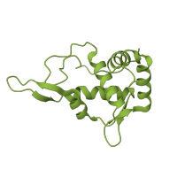 The deposited structure of PDB entry 8ipa contains 1 copy of Pfam domain PF01090 (Ribosomal protein S19e) in 40S ribosomal protein S19. Showing 1 copy in chain P [auth ra].