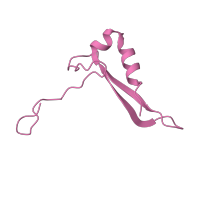 The deposited structure of PDB entry 8ipa contains 1 copy of Pfam domain PF01249 (Ribosomal protein S21e ) in 40S ribosomal protein S21. Showing 1 copy in chain Z [auth cb].