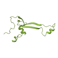The deposited structure of PDB entry 8ipa contains 1 copy of Pfam domain PF01283 (Ribosomal protein S26e) in 40S ribosomal protein S26. Showing 1 copy in chain AA [auth db].