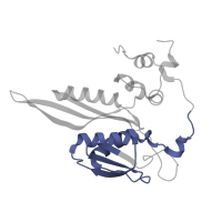 The deposited structure of PDB entry 8ipa contains 1 copy of Pfam domain PF03719 (Ribosomal protein S5, C-terminal domain) in S5 DRBM domain-containing protein. Showing 1 copy in chain CA [auth fb].