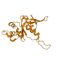The deposited structure of PDB entry 8ipa contains 1 copy of Pfam domain PF01251 (Ribosomal protein S7e) in 40S ribosomal protein S7. Showing 1 copy in chain EA [auth hb].