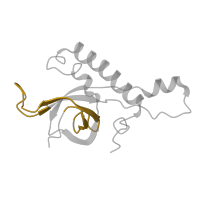 The deposited structure of PDB entry 8ipa contains 1 copy of Pfam domain PF00467 (KOW motif) in 60S ribosomal protein L27. Showing 1 copy in chain IA [auth CA].