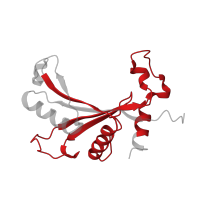 The deposited structure of PDB entry 8ipa contains 1 copy of Pfam domain PF00673 (ribosomal L5P family C-terminus) in 60S ribosomal protein L11. Showing 1 copy in chain KA [auth EA].