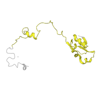 The deposited structure of PDB entry 8ipa contains 1 copy of Pfam domain PF00828 (Ribosomal proteins 50S-L15, 50S-L18e, 60S-L27A) in Large ribosomal subunit protein uL15/eL18 domain-containing protein. Showing 1 copy in chain OA [auth IA].