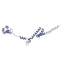 The deposited structure of PDB entry 8ipa contains 1 copy of Pfam domain PF01280 (Ribosomal protein L19e) in Ribosomal protein L19. Showing 1 copy in chain RA [auth LA].