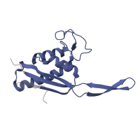 The deposited structure of PDB entry 8ipa contains 1 copy of Pfam domain PF00237 (Ribosomal protein L22p/L17e) in 60S ribosomal protein uL22. Showing 1 copy in chain SA [auth MA].