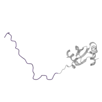 The deposited structure of PDB entry 8ipa contains 1 copy of Pfam domain PF03939 (Ribosomal protein L23, N-terminal domain) in Large ribosomal subunit protein uL23 N-terminal domain-containing protein. Showing 1 copy in chain TA [auth NA].