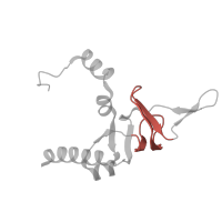 The deposited structure of PDB entry 8ipa contains 1 copy of Pfam domain PF00467 (KOW motif) in KOW domain-containing protein. Showing 1 copy in chain VA [auth PA].