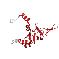 The deposited structure of PDB entry 8ipa contains 1 copy of Pfam domain PF16906 (Ribosomal proteins L26 eukaryotic, L24P archaeal) in KOW domain-containing protein. Showing 1 copy in chain VA [auth PA].