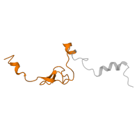 The deposited structure of PDB entry 8ipa contains 1 copy of Pfam domain PF01907 (Ribosomal protein L37e) in Ribosomal protein L37. Showing 1 copy in chain AB [auth UA].