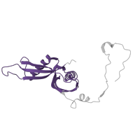 The deposited structure of PDB entry 8ipa contains 1 copy of Pfam domain PF01775 (Ribosomal proteins 50S-L18Ae/60S-L20/60S-L18A) in 60S ribosomal protein L18a. Showing 1 copy in chain EB [auth YA].