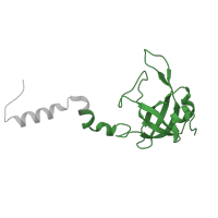 The deposited structure of PDB entry 8ipa contains 1 copy of Pfam domain PF00164 (Ribosomal protein S12/S23) in 40S ribosomal protein S23. Showing 1 copy in chain E [auth ga].