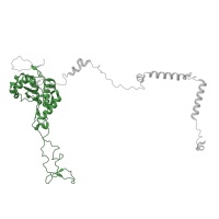 The deposited structure of PDB entry 8ipa contains 1 copy of Pfam domain PF00573 (Ribosomal protein L4/L1 family) in Large ribosomal subunit protein uL4 C-terminal domain-containing protein. Showing 1 copy in chain KB [auth EB].