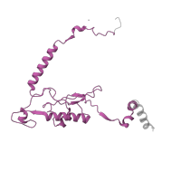 The deposited structure of PDB entry 8ipa contains 1 copy of Pfam domain PF01294 (Ribosomal protein L13e) in 60S ribosomal protein L13. Showing 1 copy in chain QB [auth KB].