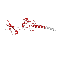 The deposited structure of PDB entry 8ipa contains 1 copy of Pfam domain PF01199 (Ribosomal protein L34e) in 60S ribosomal protein L34. Showing 1 copy in chain VB [auth PB].