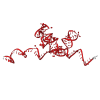 The deposited structure of PDB entry 8ipa contains 1 copy of Rfam domain RF00002 (5.8S ribosomal RNA) in 5.8S ribosomal RNA. Showing 1 copy in chain XB [auth SB].