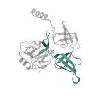 The deposited structure of PDB entry 8ipa contains 1 copy of Pfam domain PF00900 (Ribosomal family S4e) in 40S ribosomal protein S4. Showing 1 copy in chain H [auth ja].