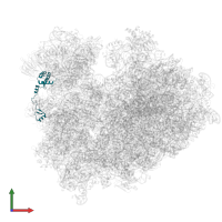40S ribosomal protein S17 in PDB entry 8ipa, assembly 1, front view.
